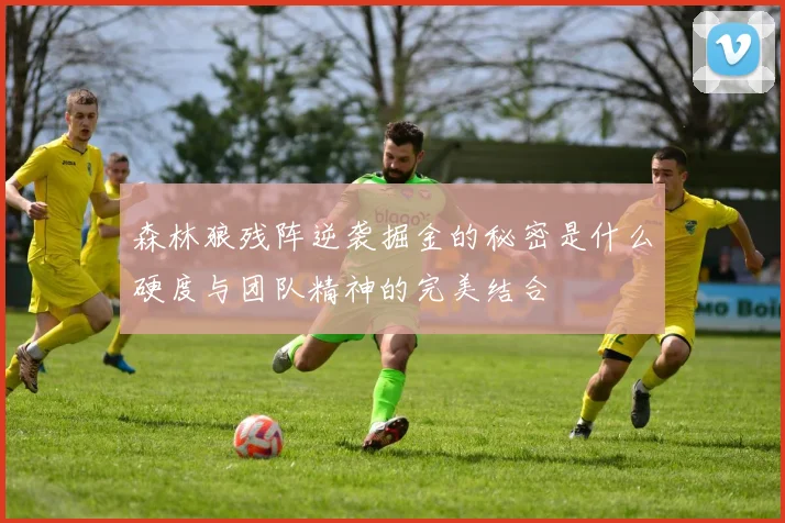 森林狼残阵逆袭掘金的秘密是什么硬度与团队精神的完美结合