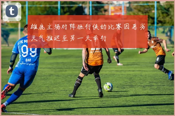 雄鹿主场对阵独行侠的比赛因恶劣天气推迟至另一天举行