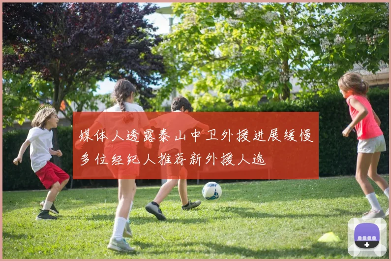 媒体人透露泰山中卫外援进展缓慢多位经纪人推荐新外援人选